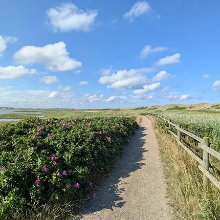 Nyaraló 8 Person In Harboore-by Traum Harboør